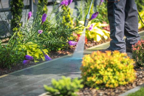 Best Warehouse Cleaning  in Maybrook, NY